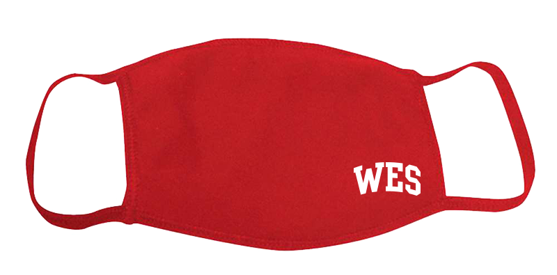 WES  PPE 3ply Mask
